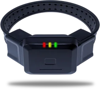 BLUtag GPS monitor on its ankle strap